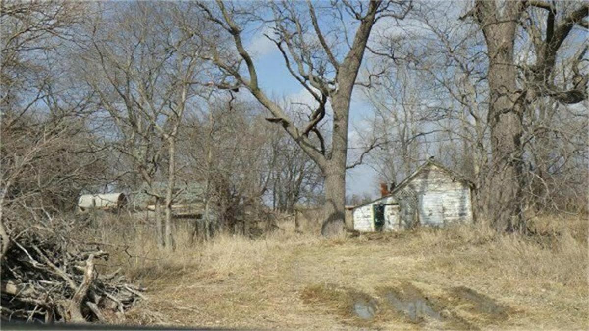 Picture of Residential Land For Sale in Modale, Iowa, United States