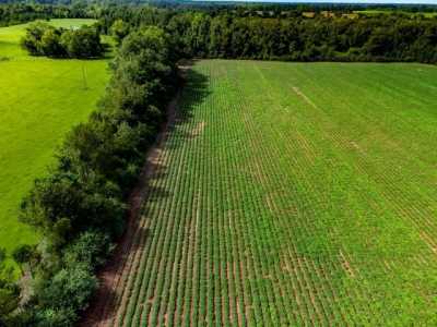 Residential Land For Sale in Ashford, Alabama