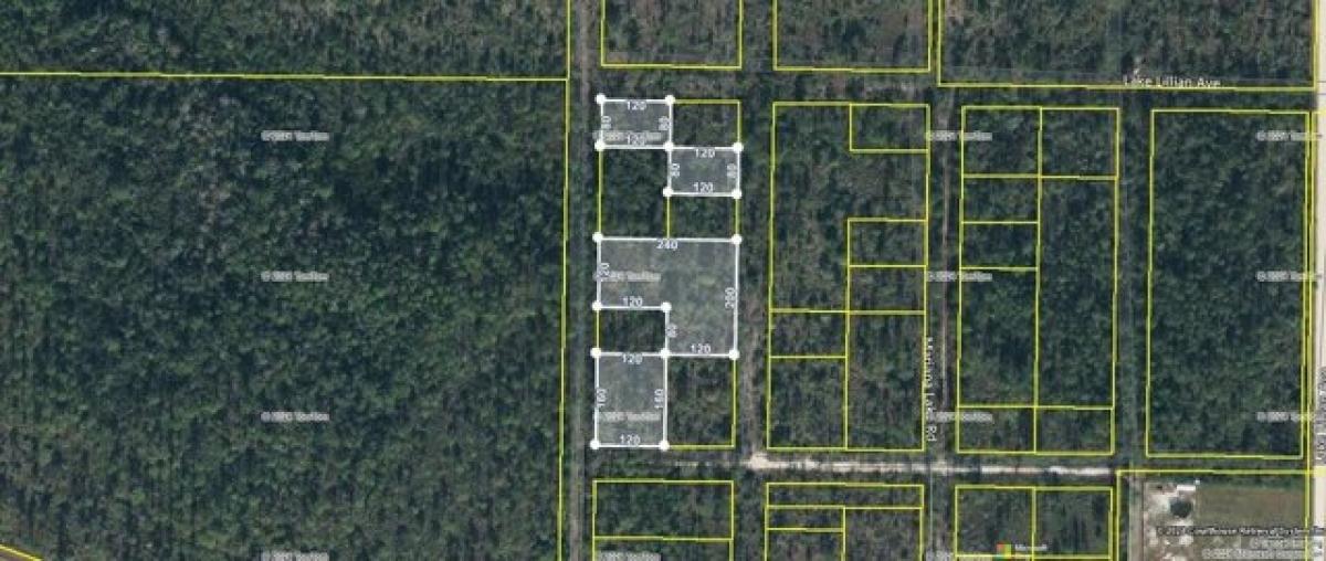 Picture of Residential Land For Sale in Altha, Florida, United States