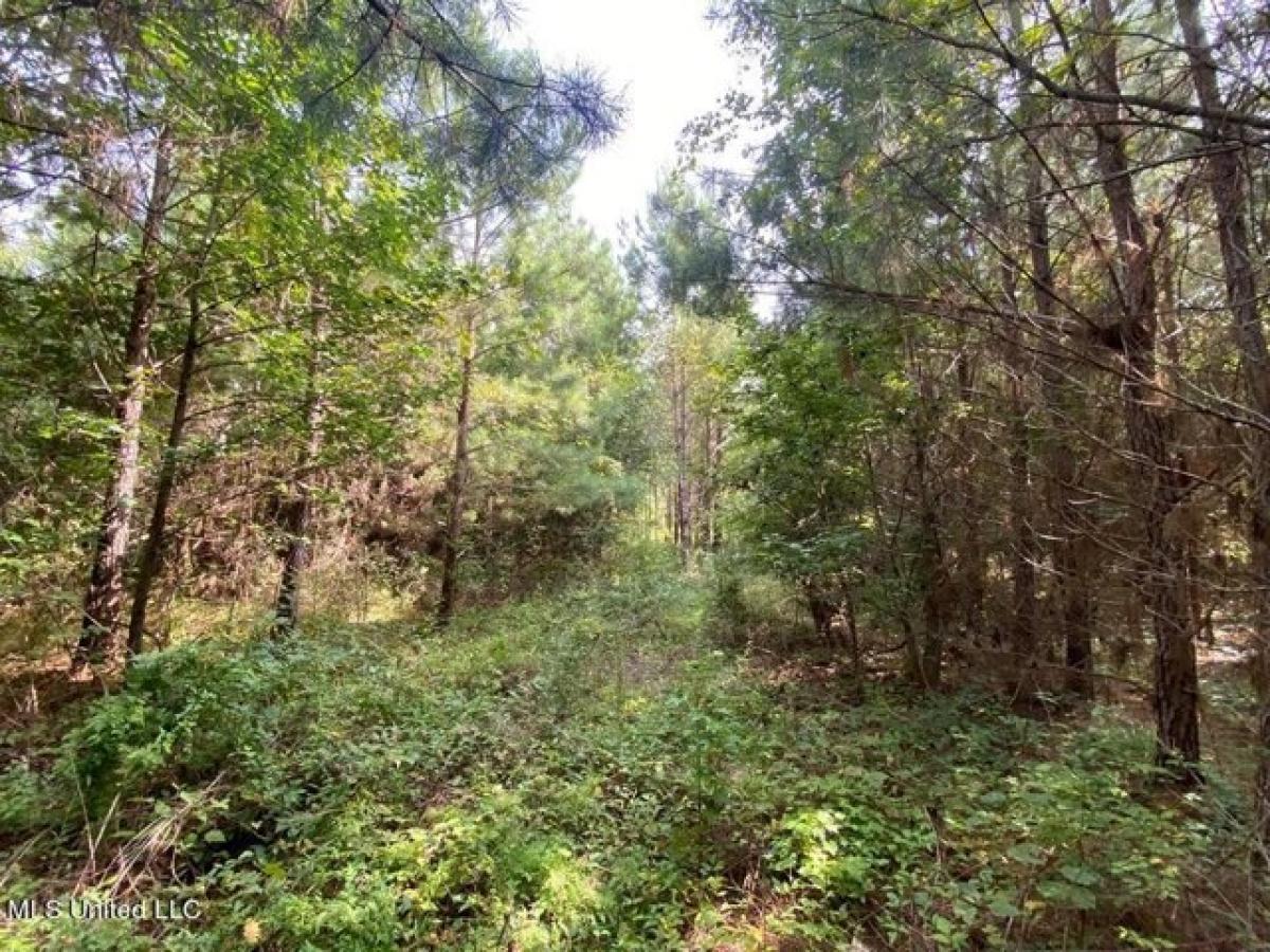 Picture of Residential Land For Sale in Hazlehurst, Mississippi, United States