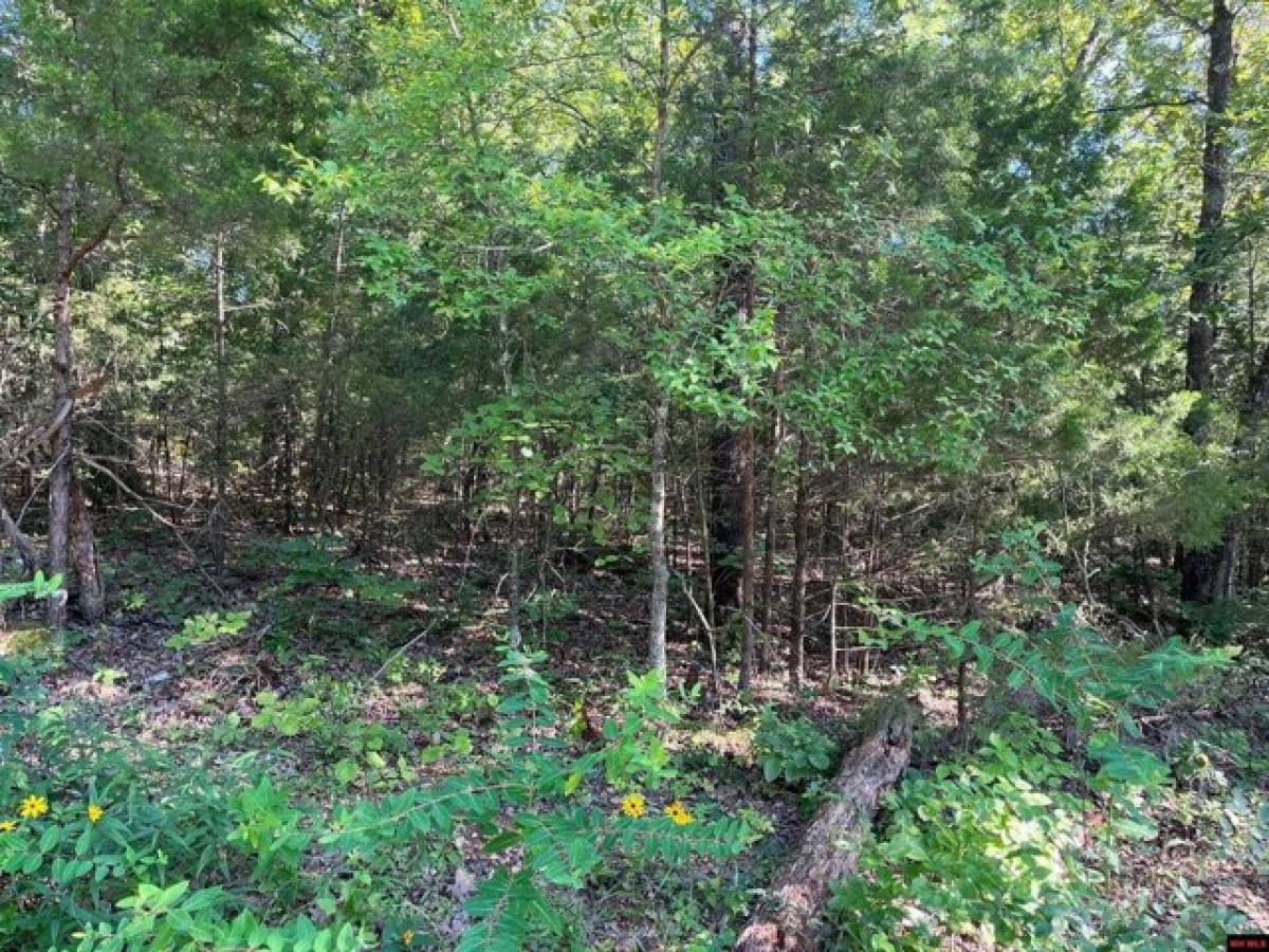 Picture of Residential Land For Sale in Midway, Arkansas, United States