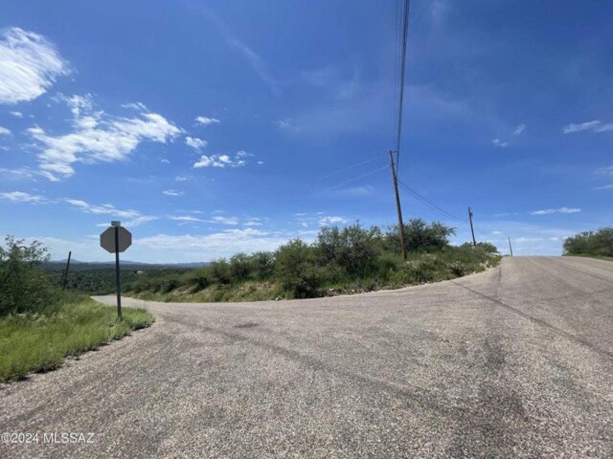 Picture of Residential Land For Sale in Rio Rico, Arizona, United States