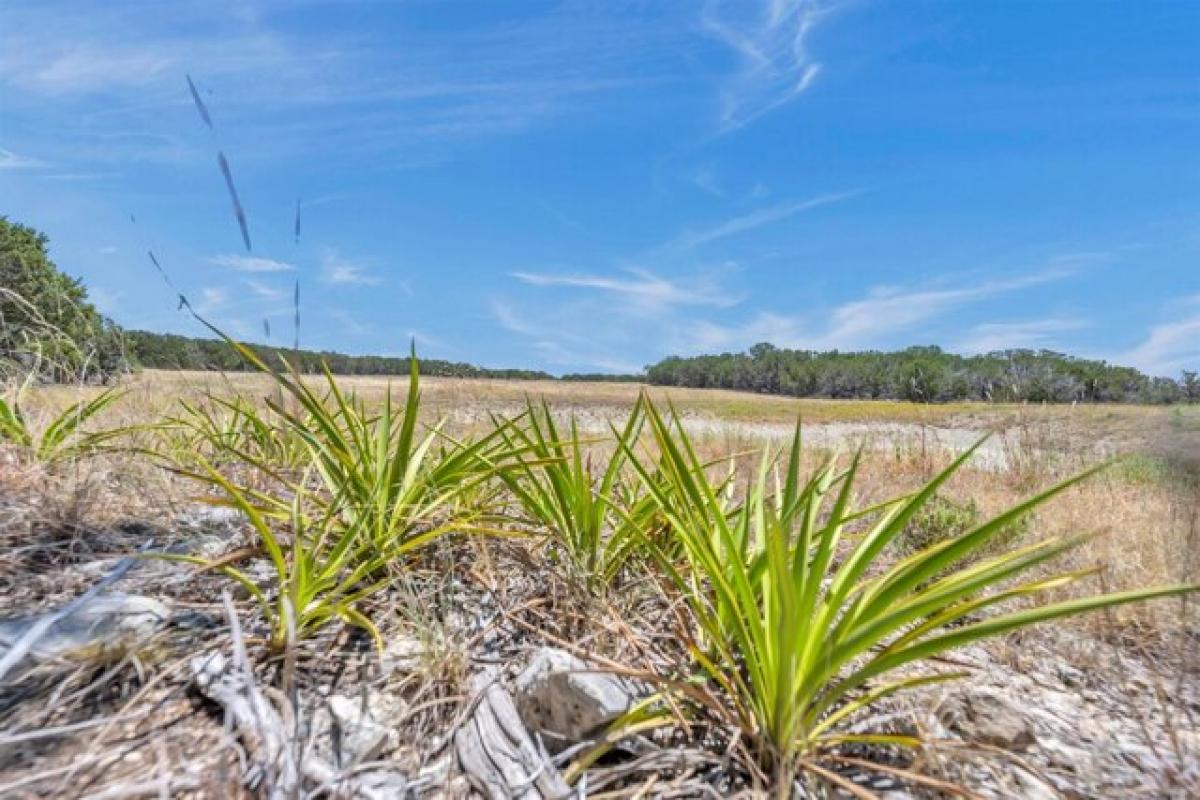 Picture of Residential Land For Sale in Burnet, Texas, United States