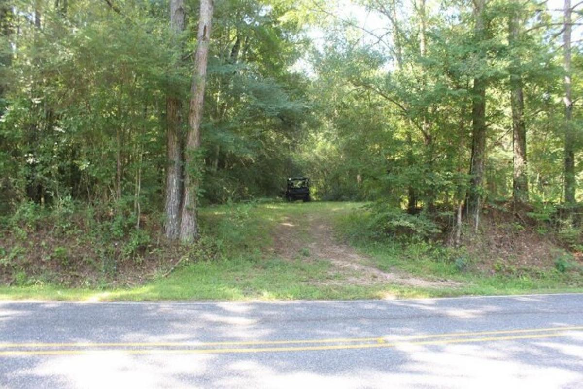 Picture of Residential Land For Sale in Brookhaven, Mississippi, United States