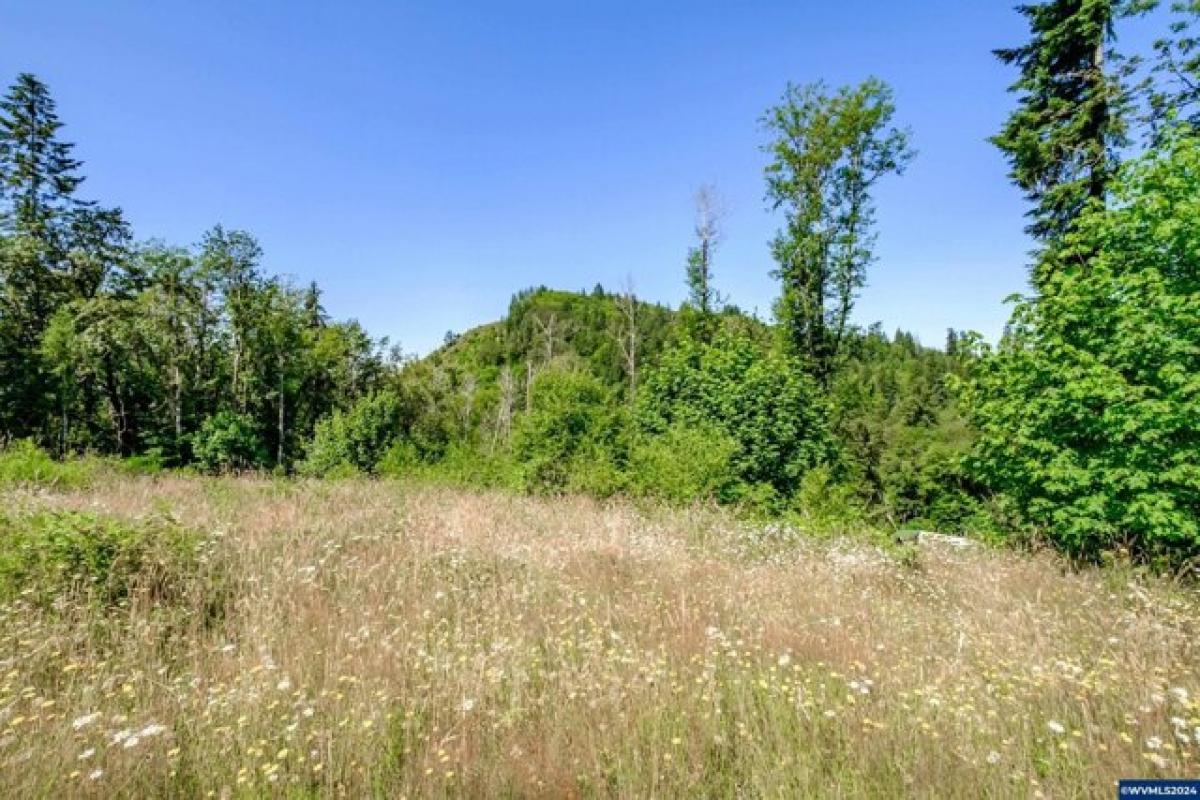 Picture of Residential Land For Sale in Seaside, Oregon, United States