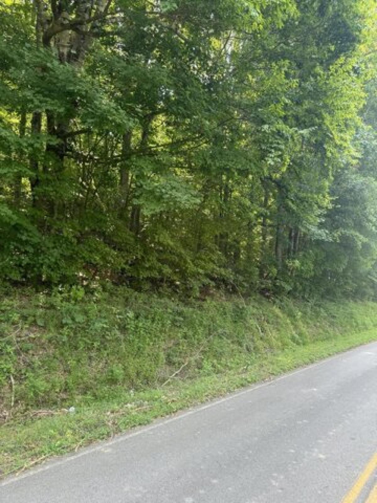 Picture of Residential Land For Sale in Riceville, Tennessee, United States