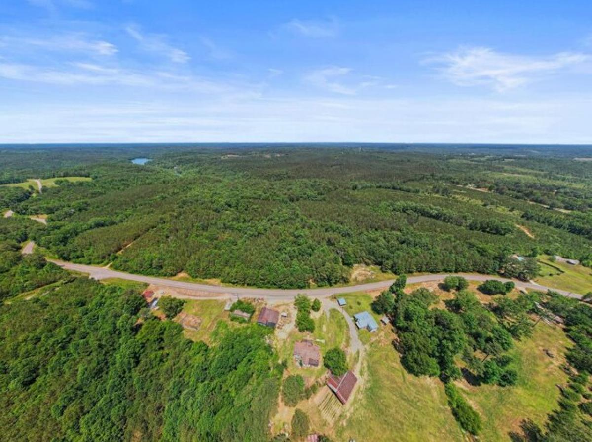 Picture of Residential Land For Sale in Arley, Alabama, United States