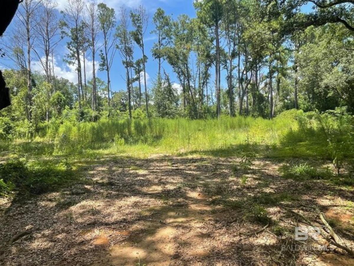 Picture of Residential Land For Sale in Fairhope, Alabama, United States