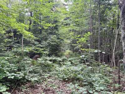 Residential Land For Sale in Greenville, Maine