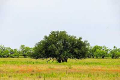 Residential Land For Sale in Clyde, Texas