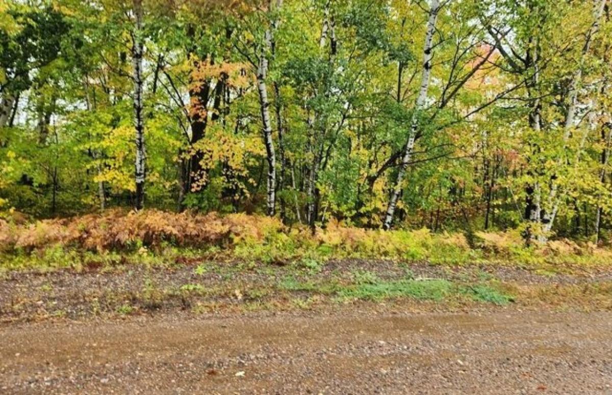 Picture of Residential Land For Sale in Rib Lake, Wisconsin, United States