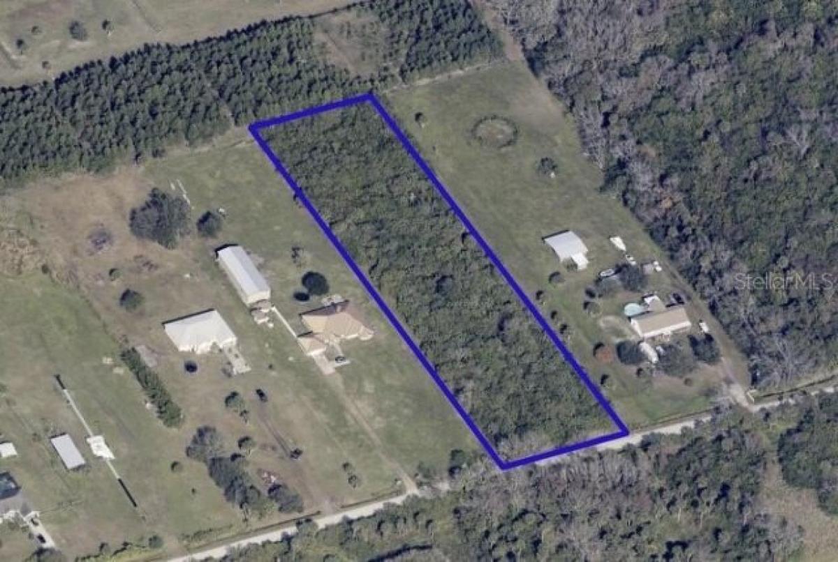 Picture of Residential Land For Sale in Mims, Florida, United States