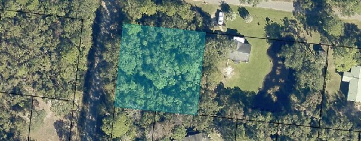 Picture of Residential Land For Sale in Milton, Florida, United States