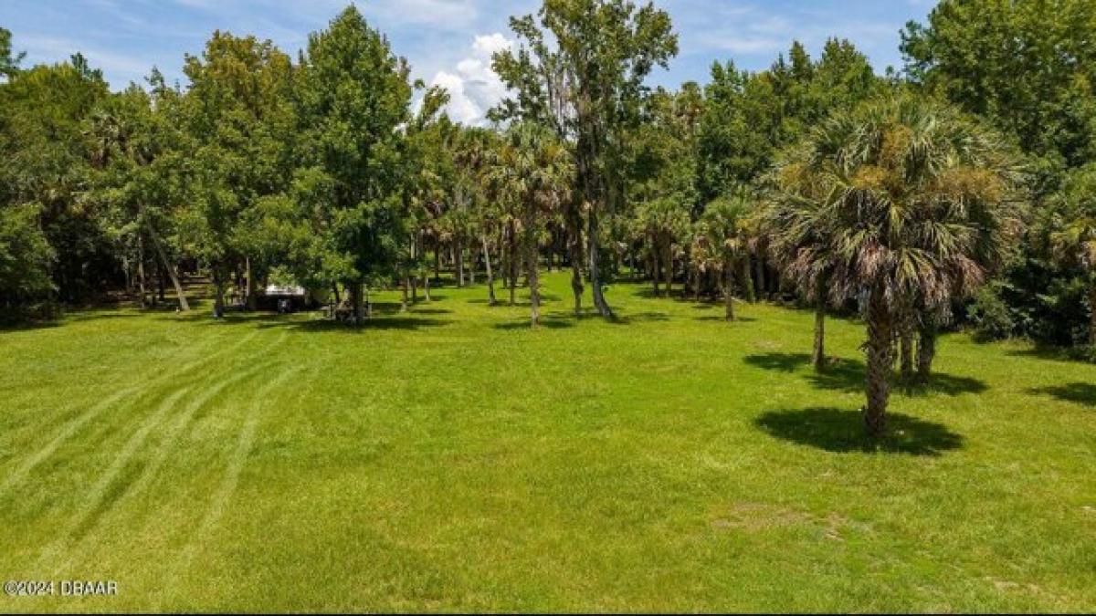 Picture of Residential Land For Sale in Crescent City, Florida, United States