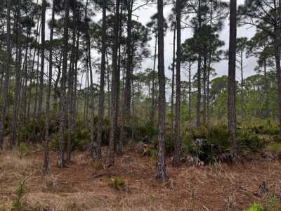 Residential Land For Sale in Panacea, Florida