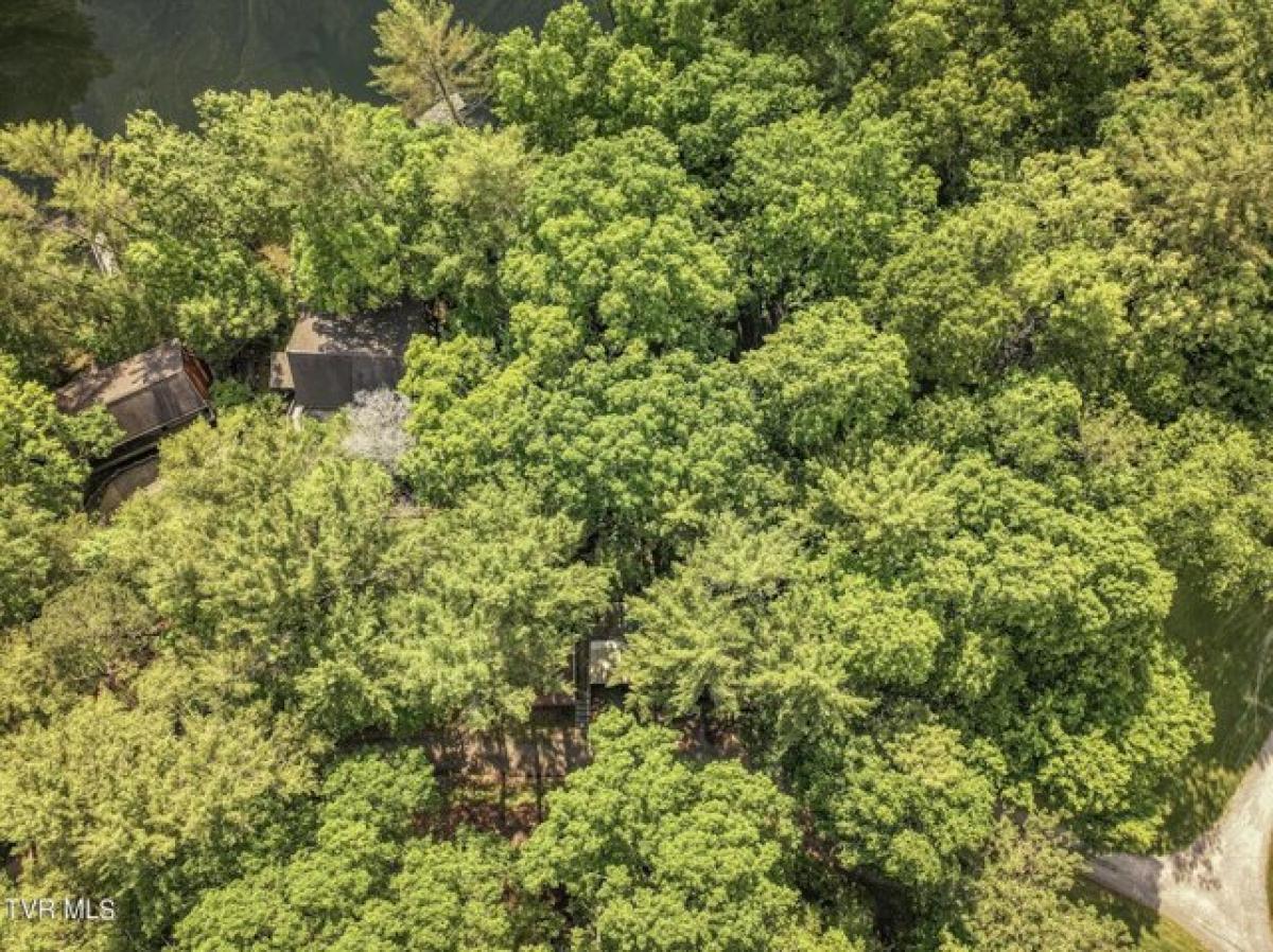 Picture of Home For Sale in Butler, Tennessee, United States