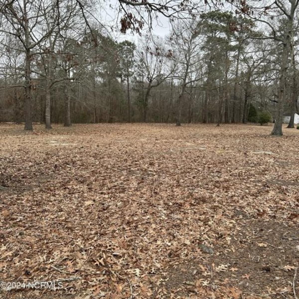 Picture of Residential Land For Sale in Edenton, North Carolina, United States