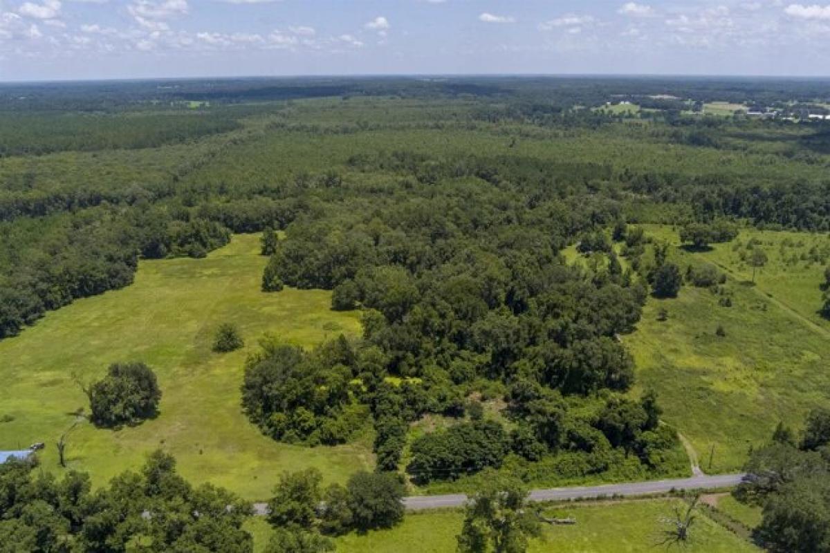 Picture of Residential Land For Sale in Monticello, Florida, United States