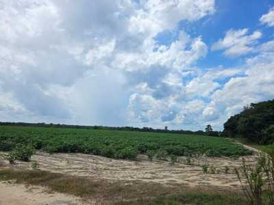 Home For Sale in Alapaha, Georgia