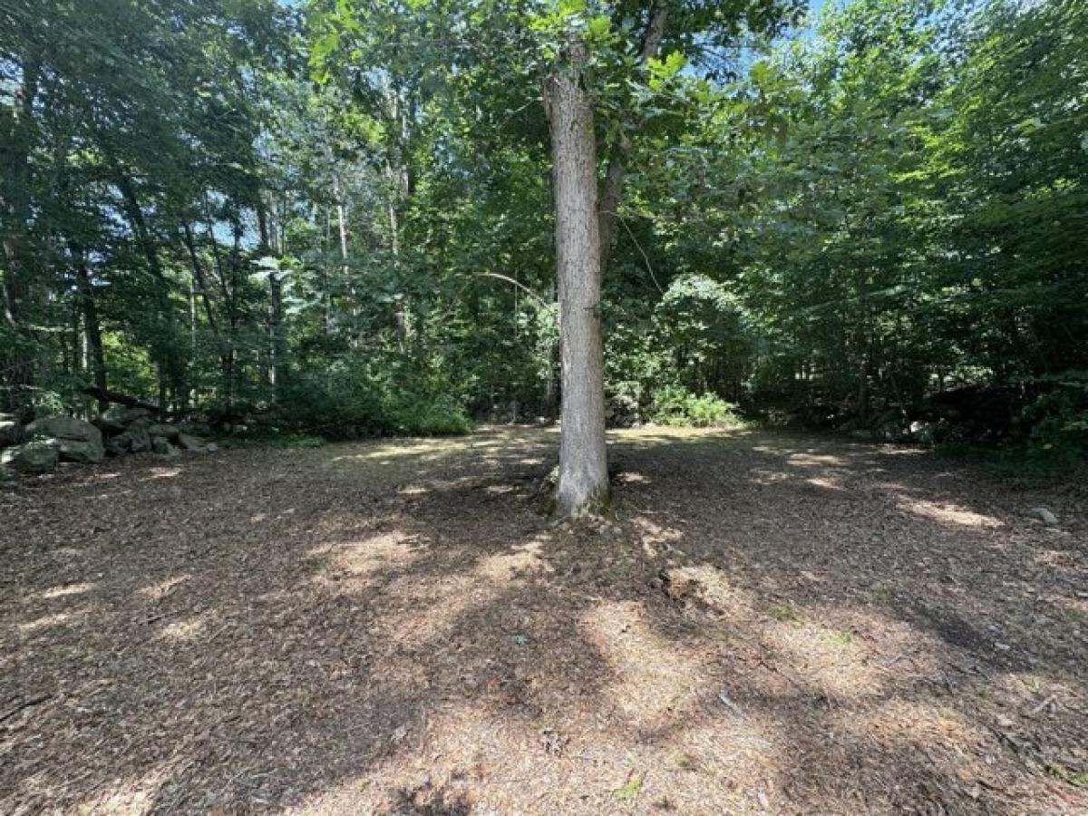 Picture of Residential Land For Sale in Wilton, Connecticut, United States