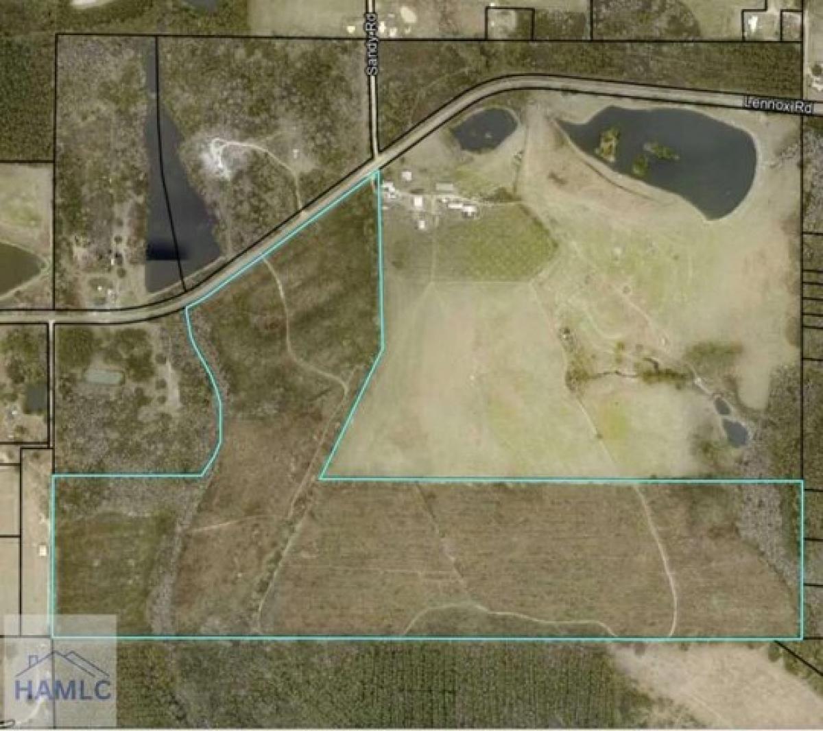 Picture of Residential Land For Sale in Baxley, Georgia, United States