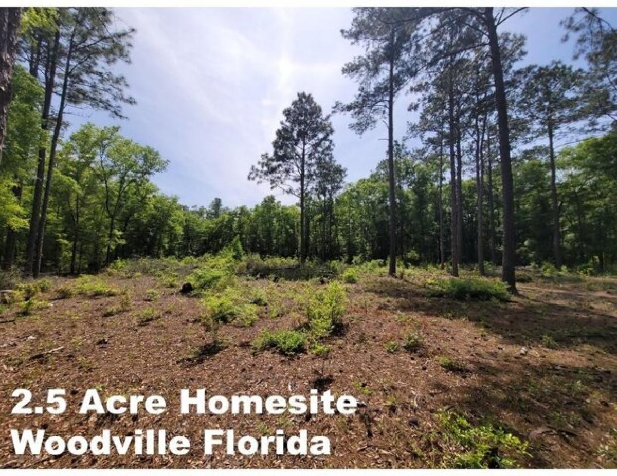 Picture of Residential Land For Sale in Woodville, Florida, United States