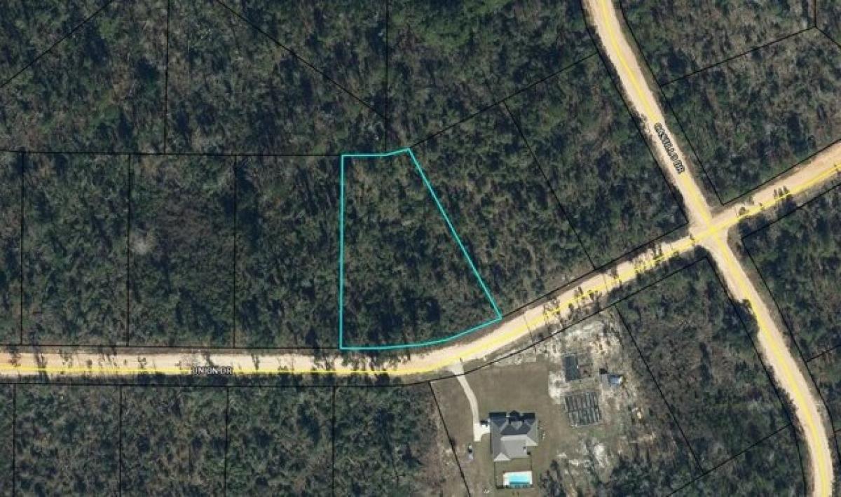 Picture of Residential Land For Sale in Alford, Florida, United States