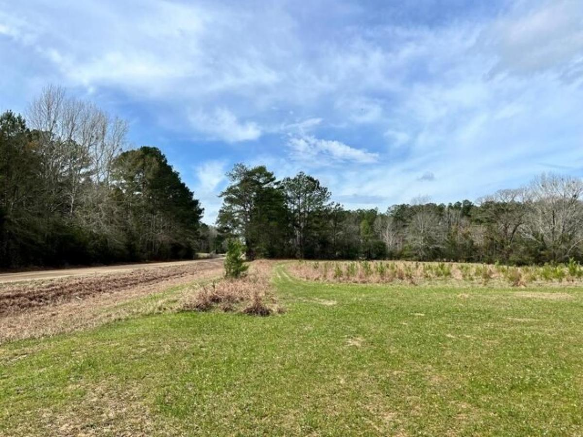 Picture of Residential Land For Sale in Liberty, Mississippi, United States