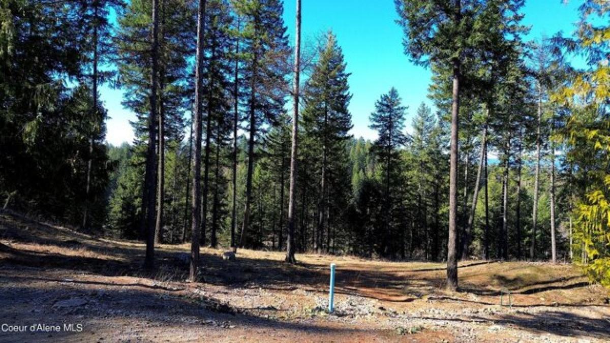 Picture of Residential Land For Sale in Sandpoint, Idaho, United States