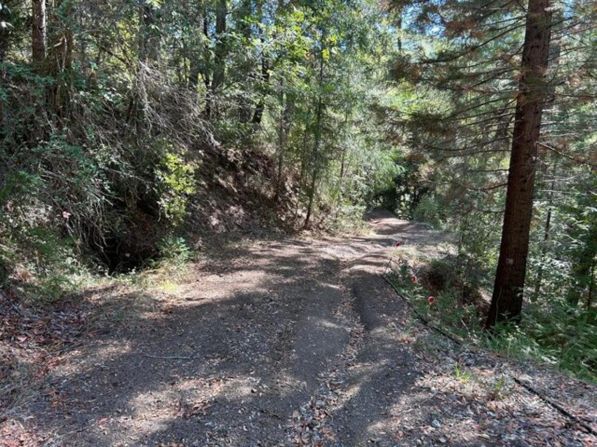 Picture of Home For Sale in Piercy, California, United States