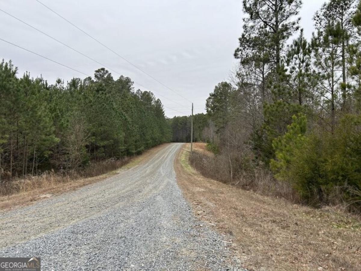 Picture of Residential Land For Sale in Elberton, Georgia, United States