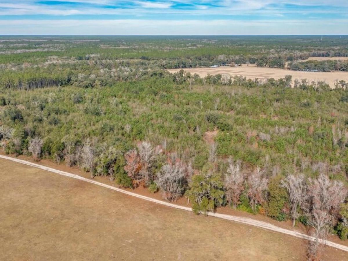 Picture of Residential Land For Sale in Crawfordville, Florida, United States