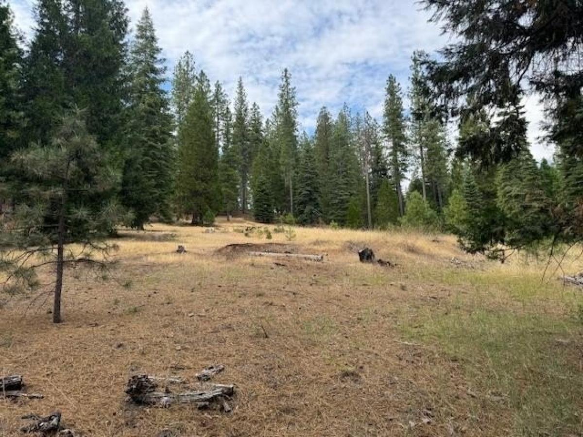 Picture of Residential Land For Sale in Volcano, California, United States