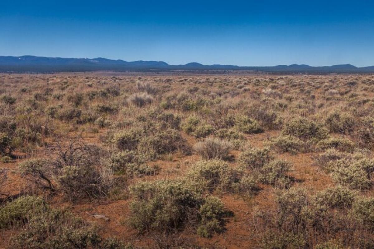 Picture of Residential Land For Sale in Bend, Oregon, United States