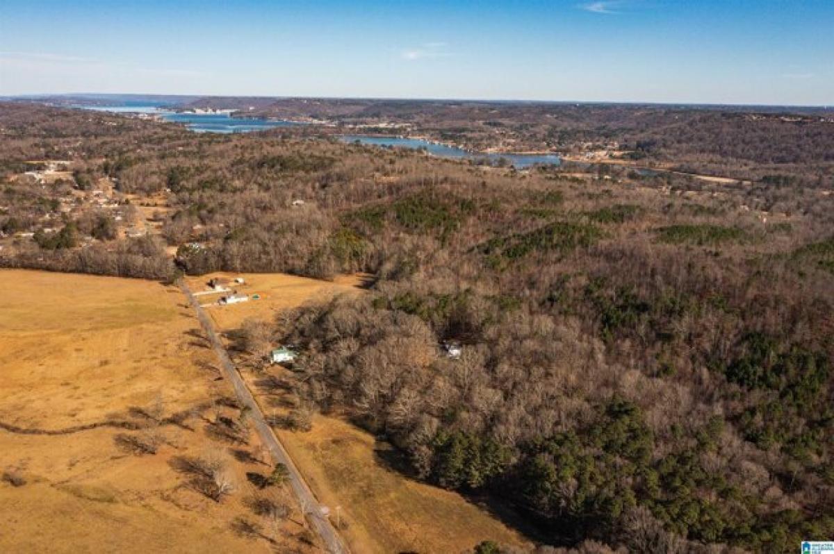 Picture of Residential Land For Sale in Guntersville, Alabama, United States