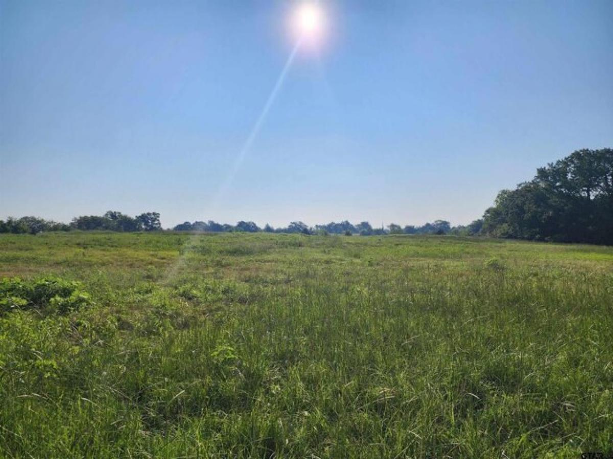 Picture of Residential Land For Sale in Como, Texas, United States