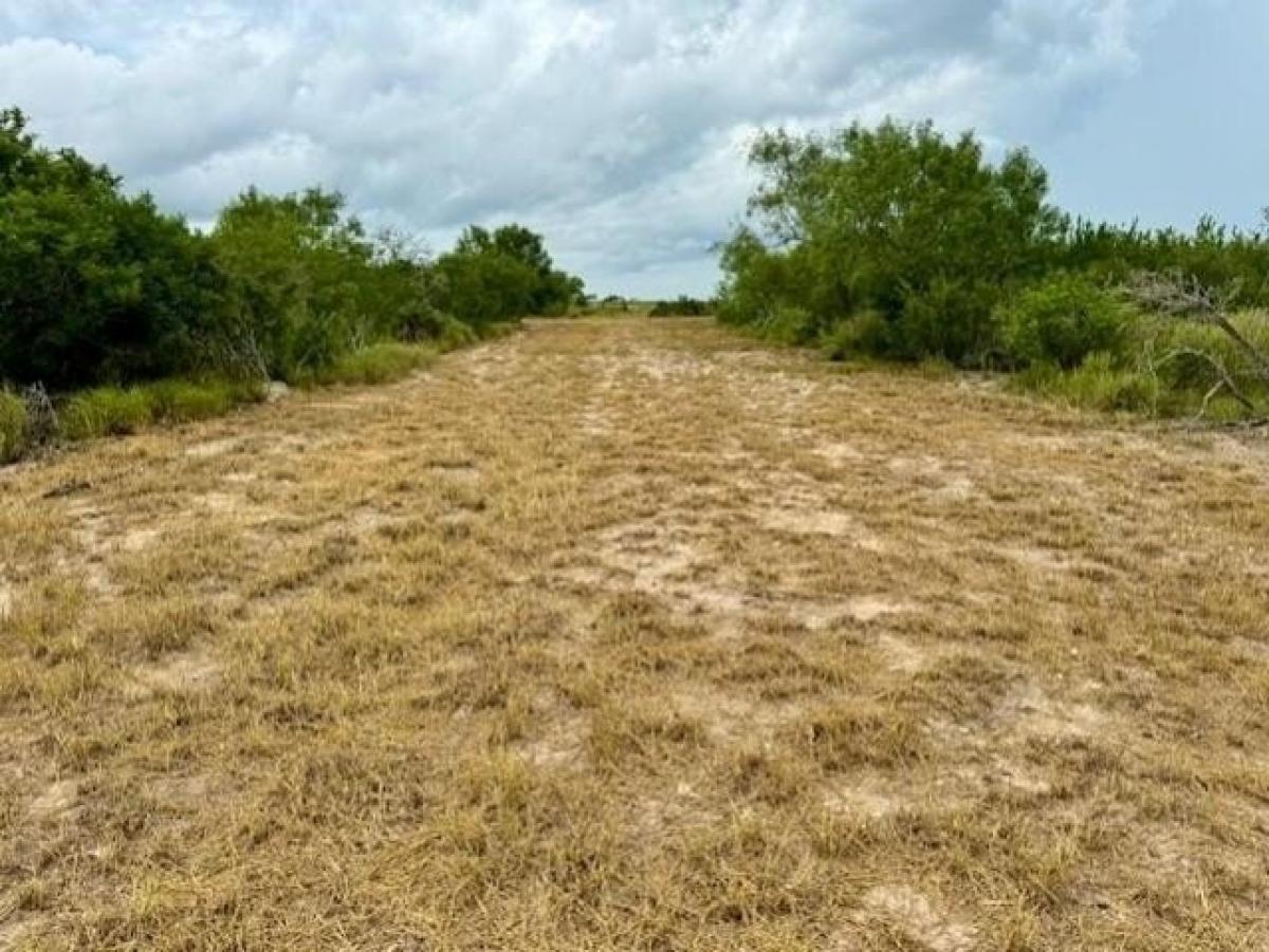 Picture of Residential Land For Sale in Jourdanton, Texas, United States