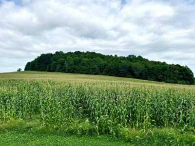 Residential Land For Sale in Science Hill, Kentucky