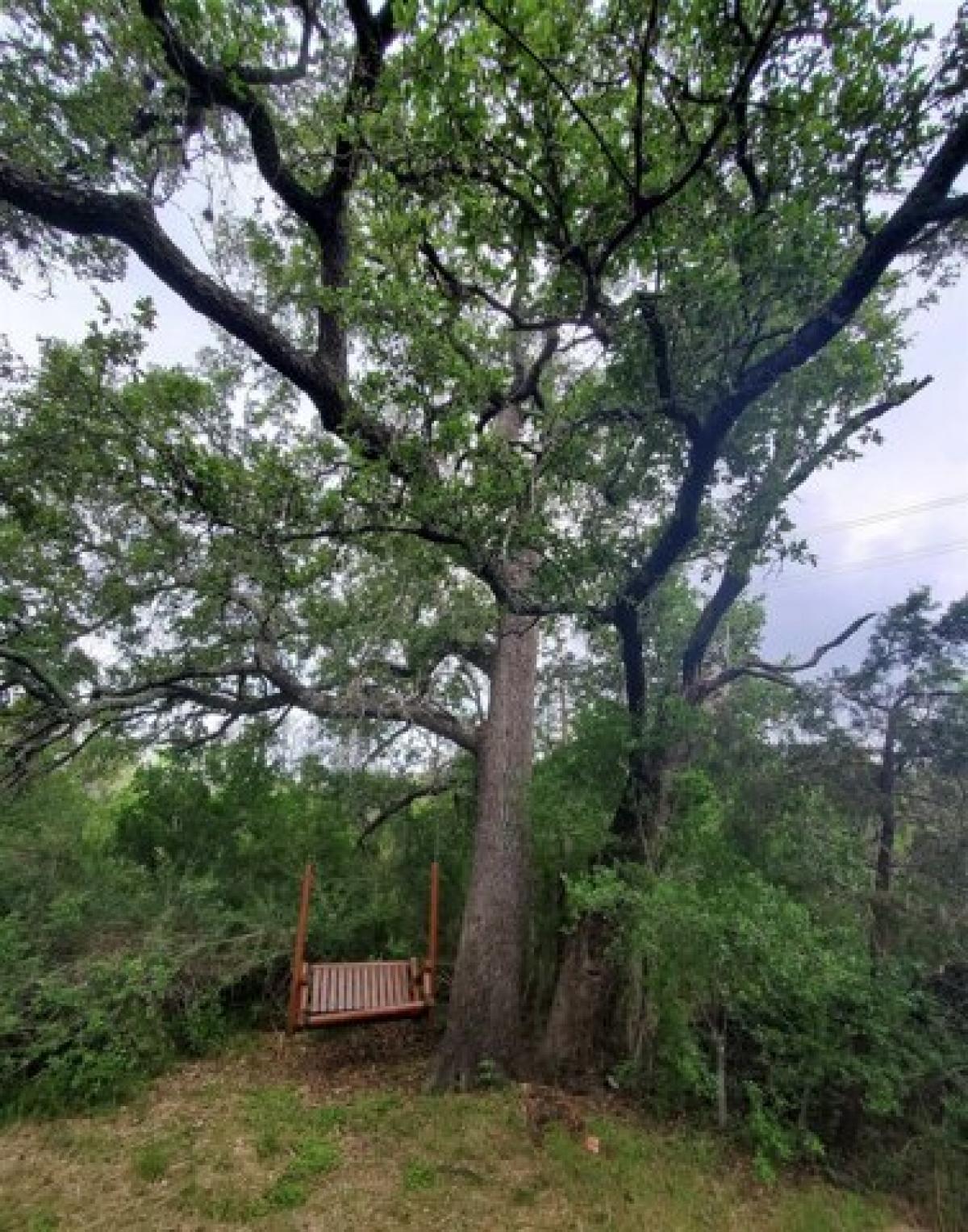 Picture of Residential Land For Sale in Burnet, Texas, United States