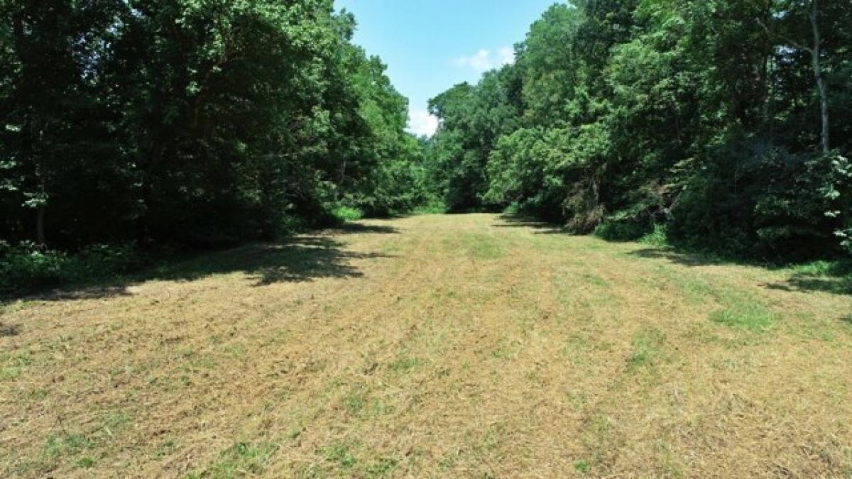 Picture of Residential Land For Sale in Westmoreland, Tennessee, United States