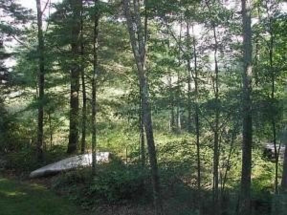 Picture of Residential Land For Sale in Dedham, Maine, United States