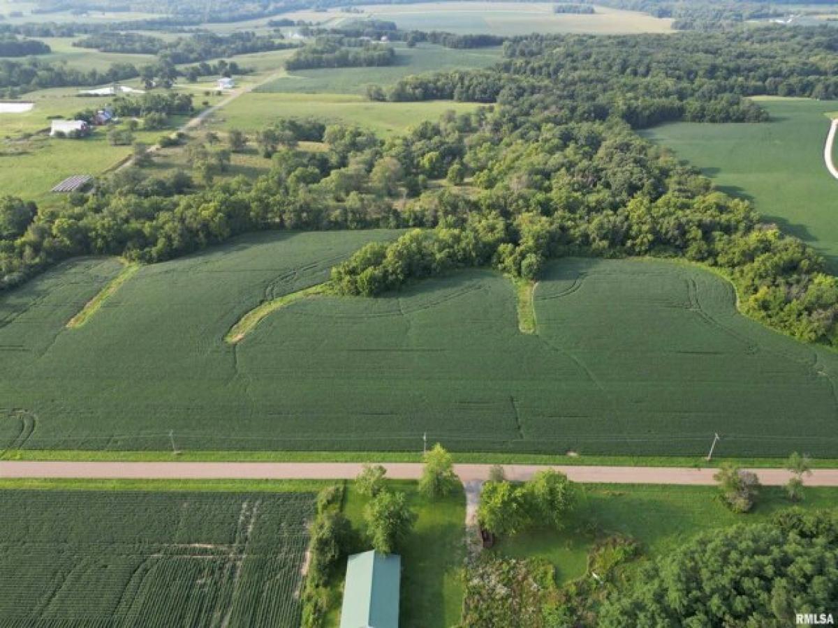 Picture of Residential Land For Sale in Deer Creek, Illinois, United States