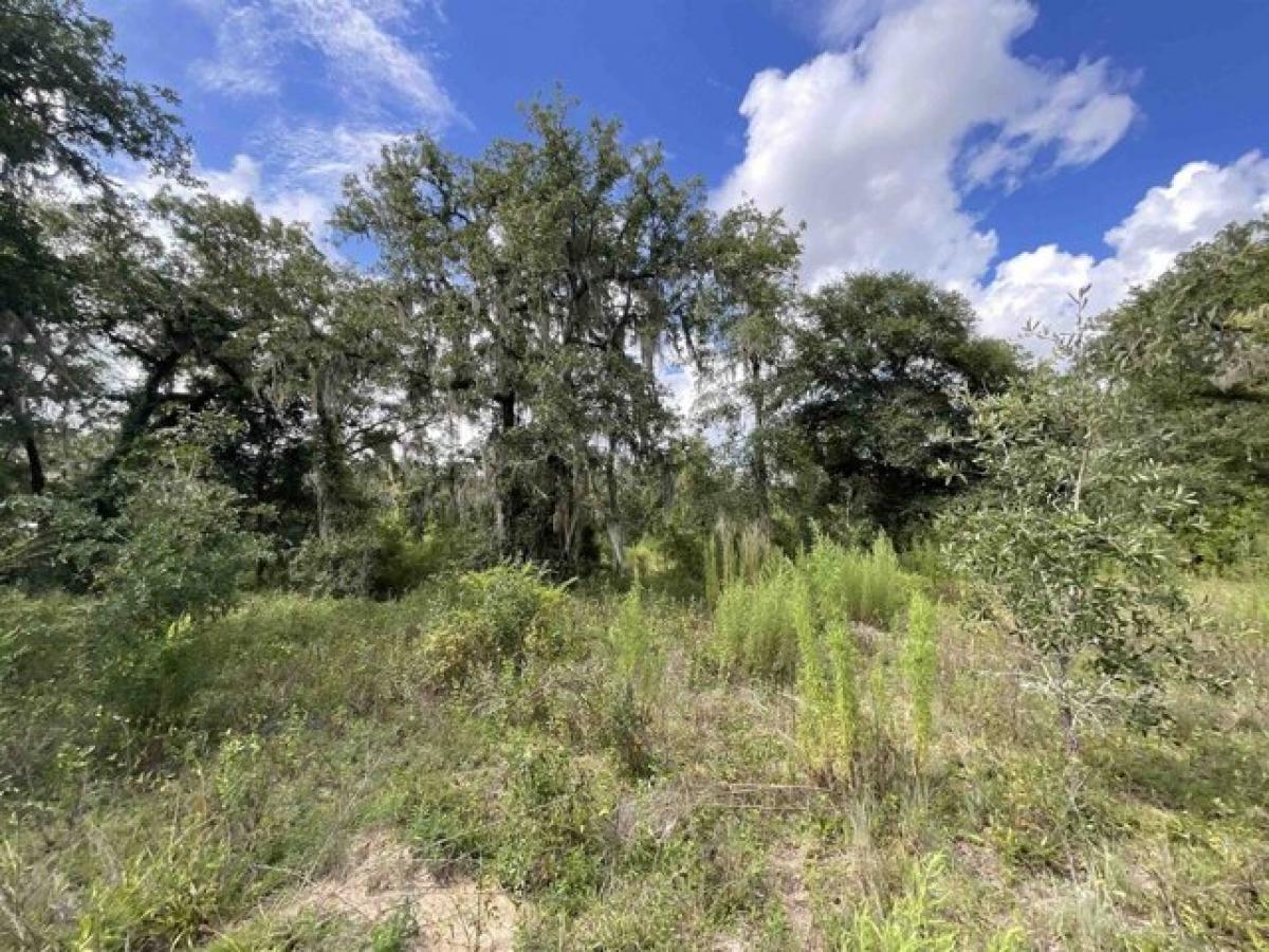 Picture of Residential Land For Sale in Lee, Florida, United States