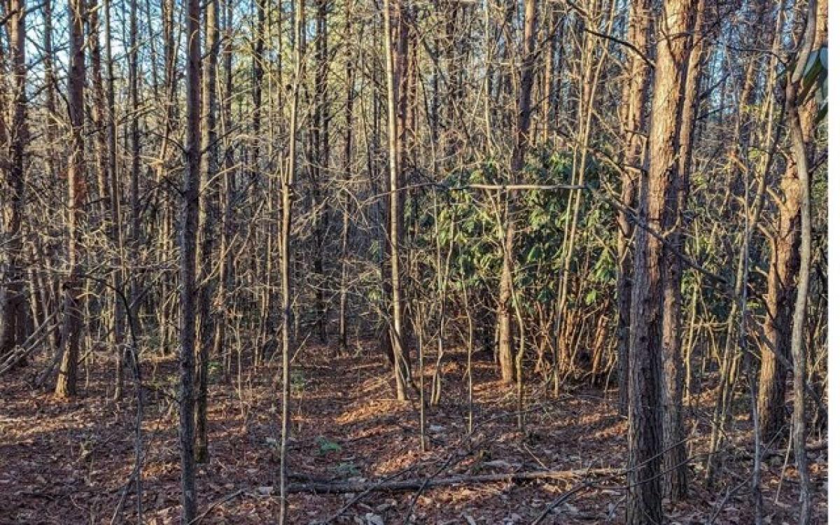 Picture of Residential Land For Sale in Turtletown, Tennessee, United States