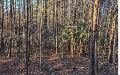 Residential Land For Sale in Turtletown, Tennessee