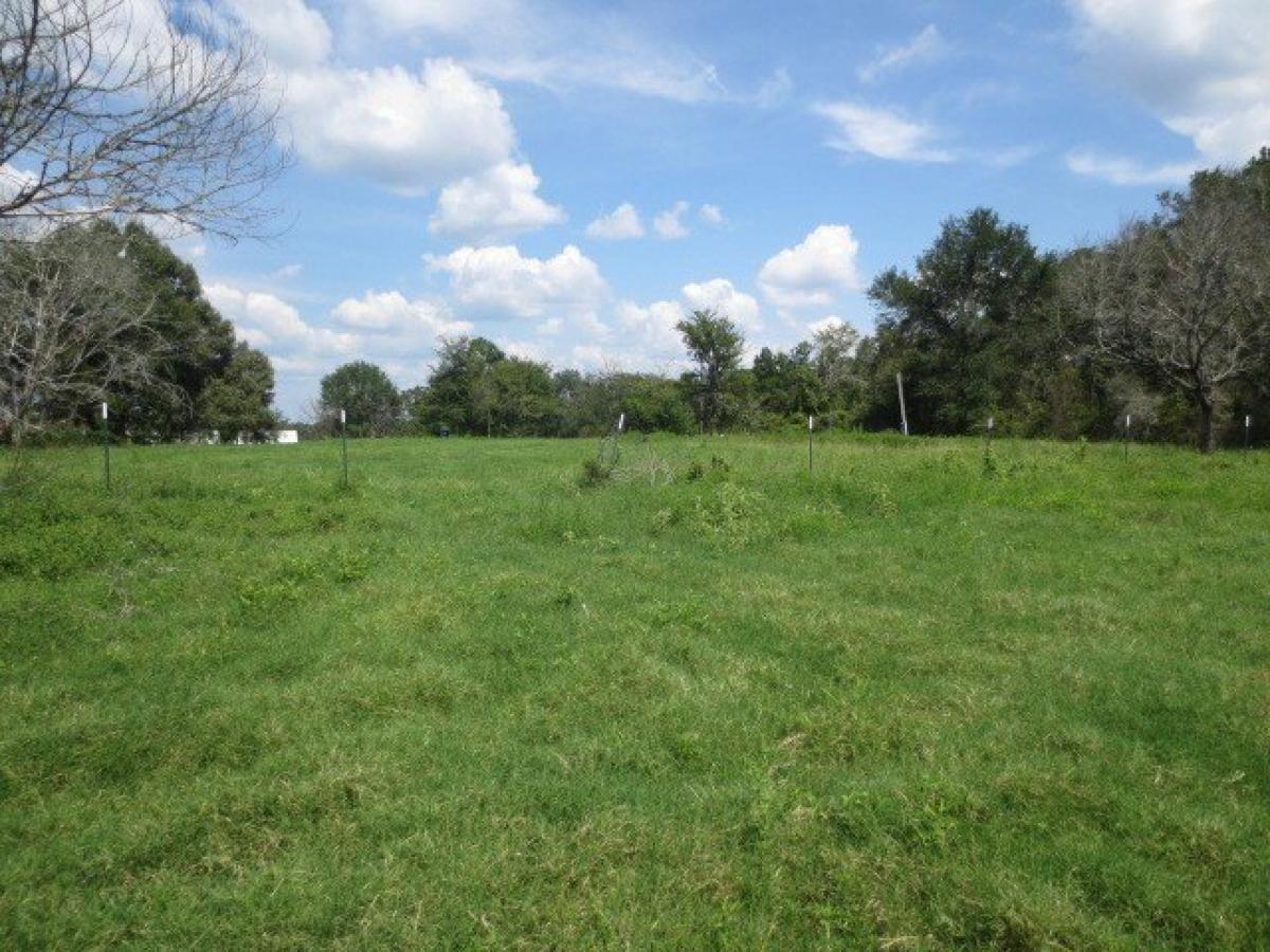 Picture of Residential Land For Sale in Trinity, Texas, United States