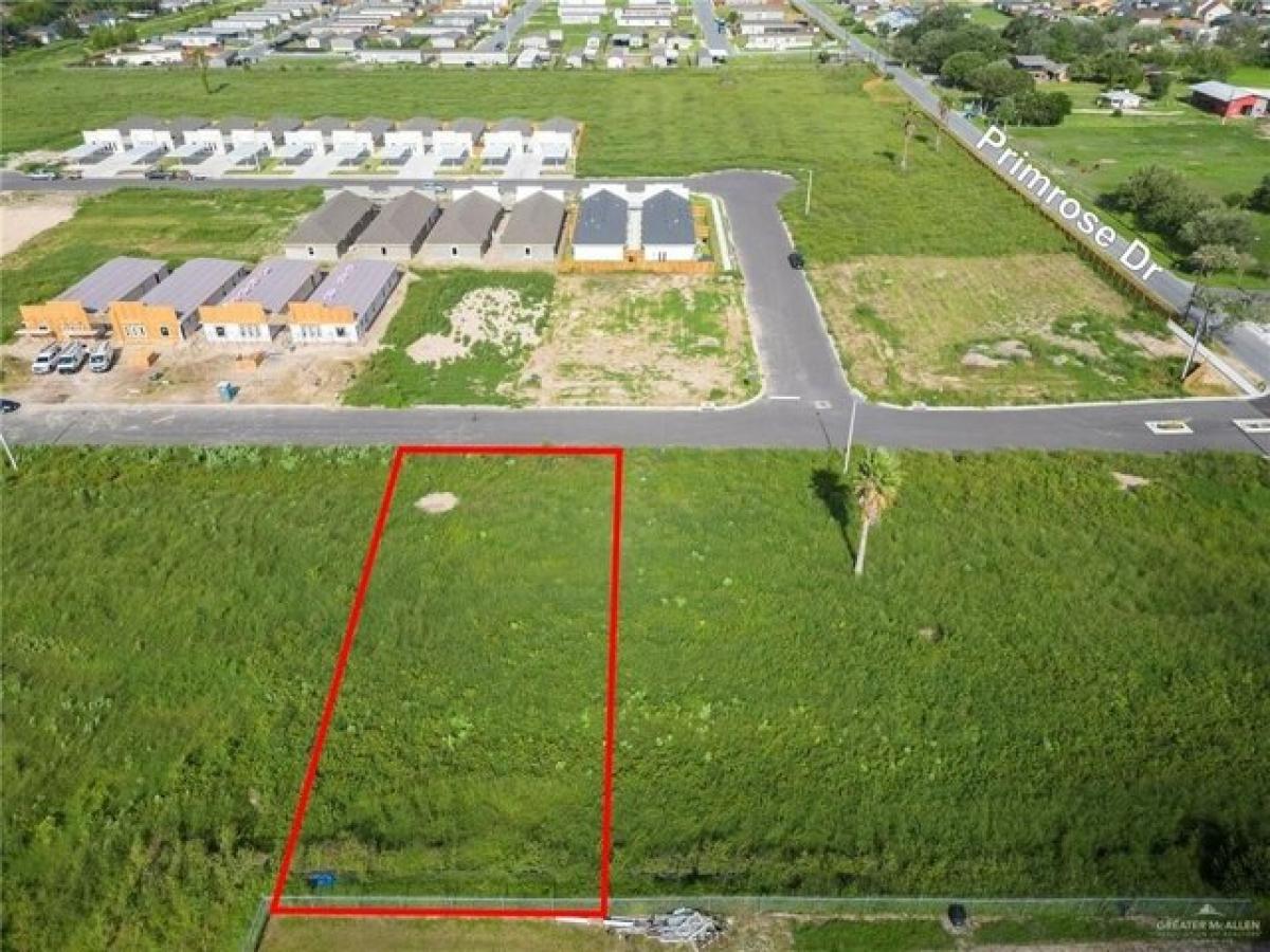 Picture of Residential Land For Sale in Weslaco, Texas, United States