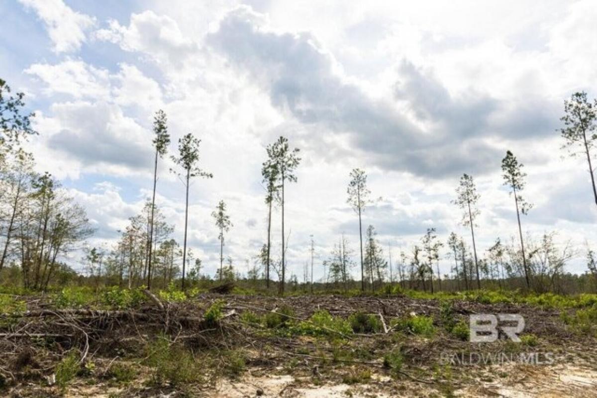 Picture of Residential Land For Sale in Bay Minette, Alabama, United States