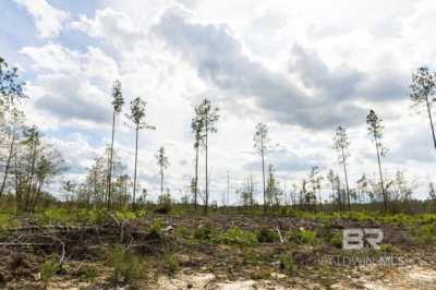 Residential Land For Sale in Bay Minette, Alabama