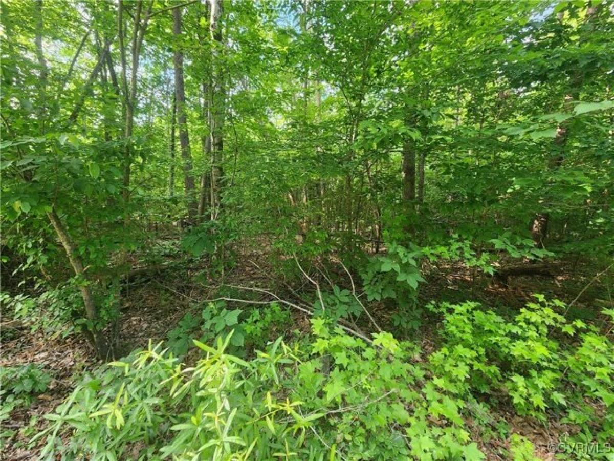 Picture of Residential Land For Sale in Powhatan, Virginia, United States